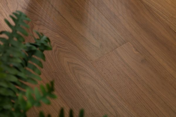 Chestnut Noir Floorboard with plant accent showcasing its rich dark tones